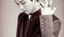 圈内爆料鹿晗王耀庆,神秘项目引热议